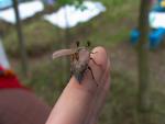На взлет!!!!