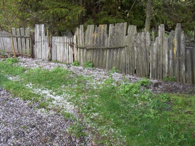 CRW_1178.jpg