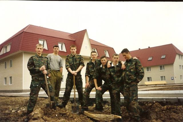 Облагораживаем газон