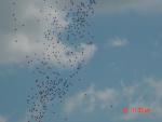 DSC00638.JPG