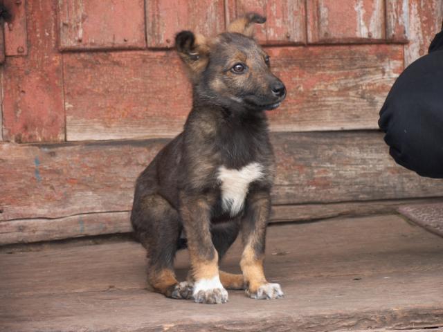 CRW_3924.jpg