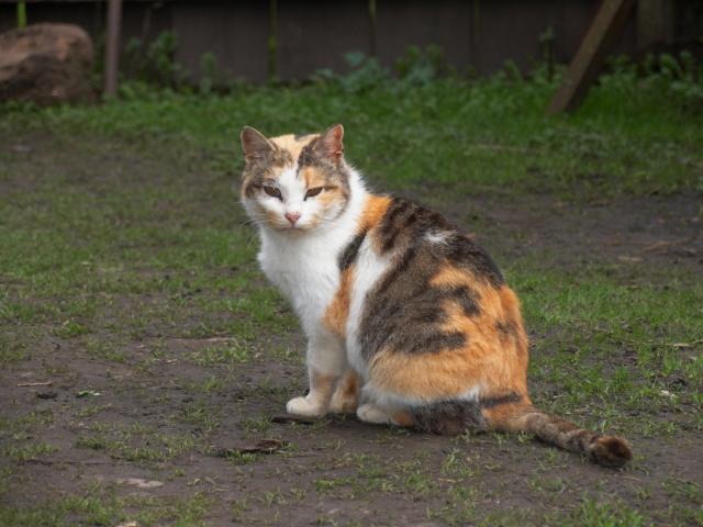 CRW_3929.jpg