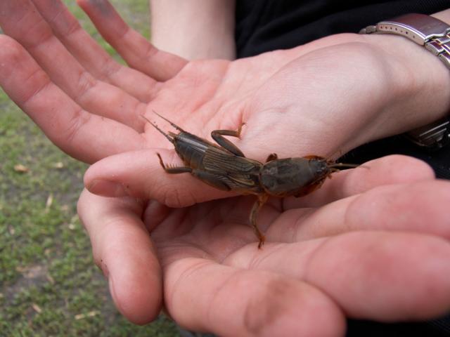 CRW_3935.jpg