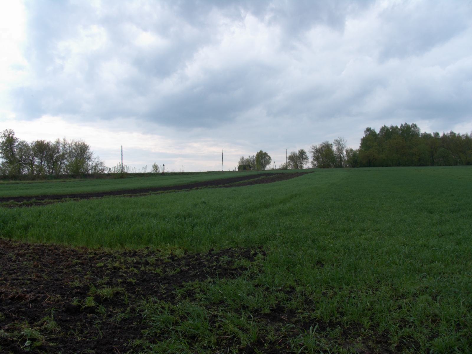 CRW_3940.jpg