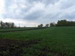 CRW_3940.jpg