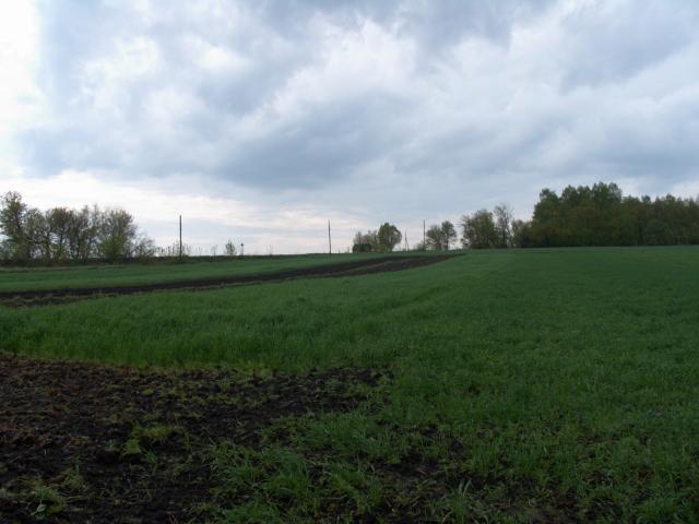 CRW_3940.jpg