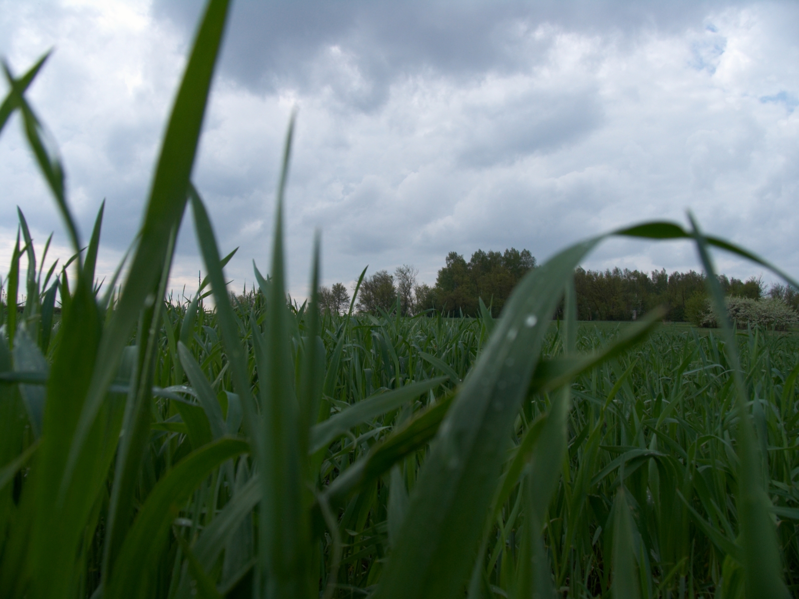 CRW_3945.jpg
