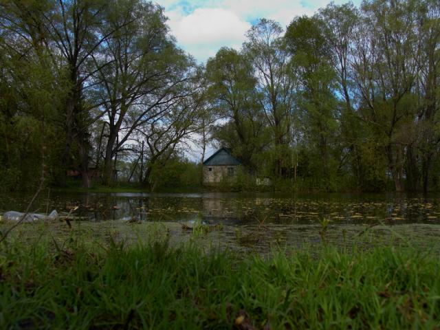 CRW_4005.jpg