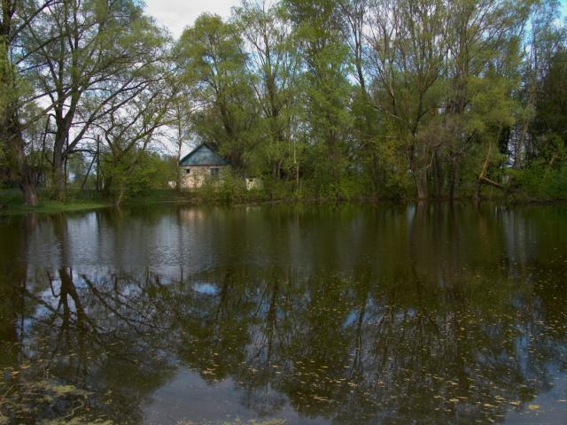 CRW_4008.jpg