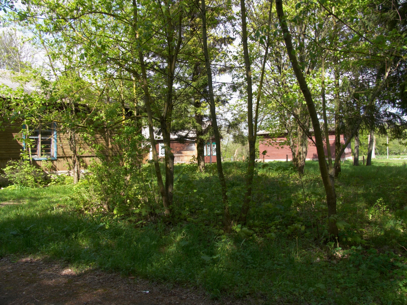 CRW_4093.jpg