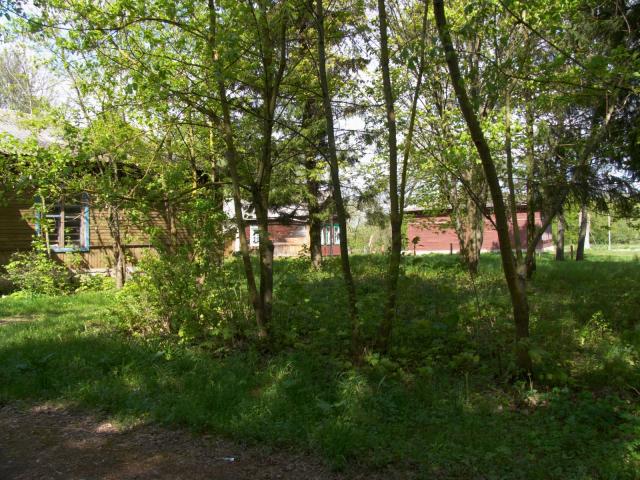 CRW_4093.jpg