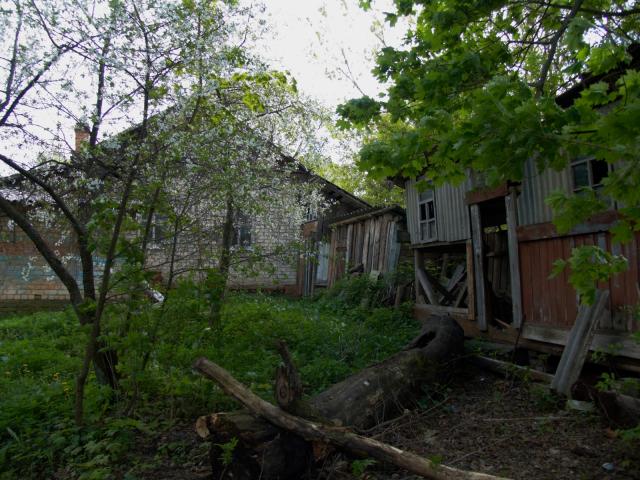 CRW_4100.jpg