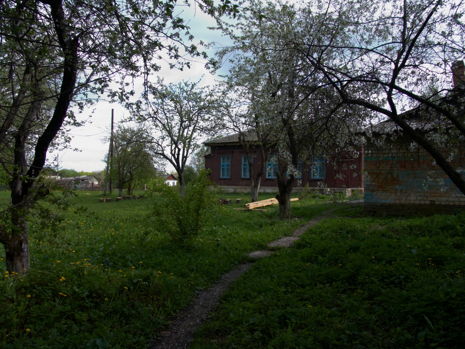 CRW_4101.jpg