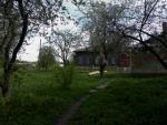 CRW_4101.jpg