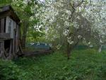 CRW_4102.jpg