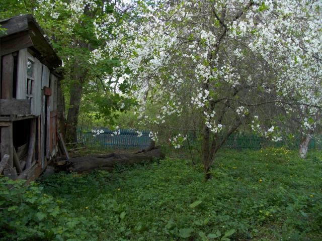 CRW_4102.jpg