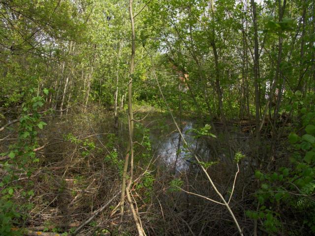 CRW_4104.jpg