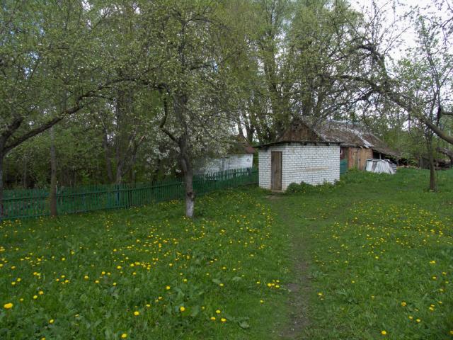 CRW_4108.jpg