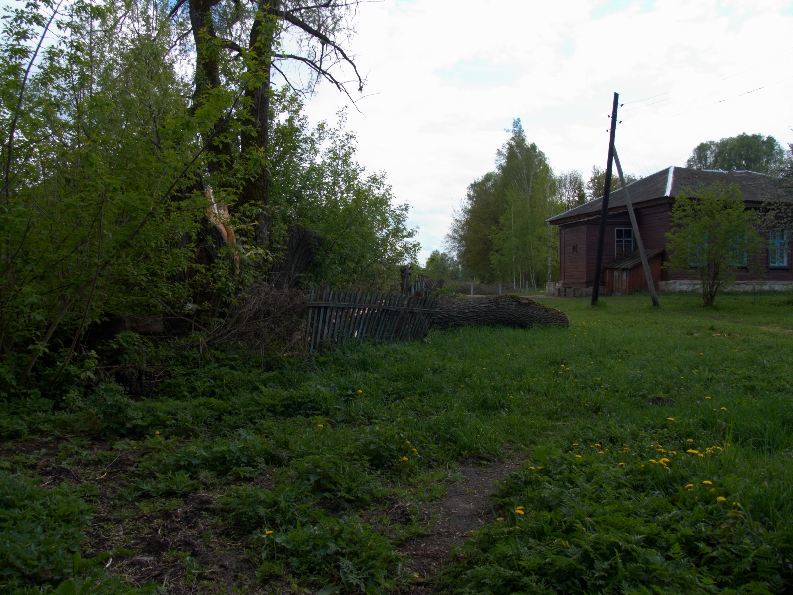 CRW_4113.jpg