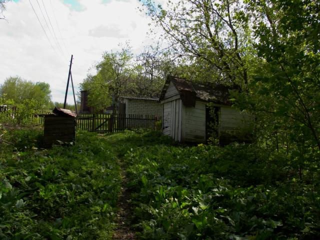 CRW_4116.jpg