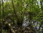 CRW_4118.jpg