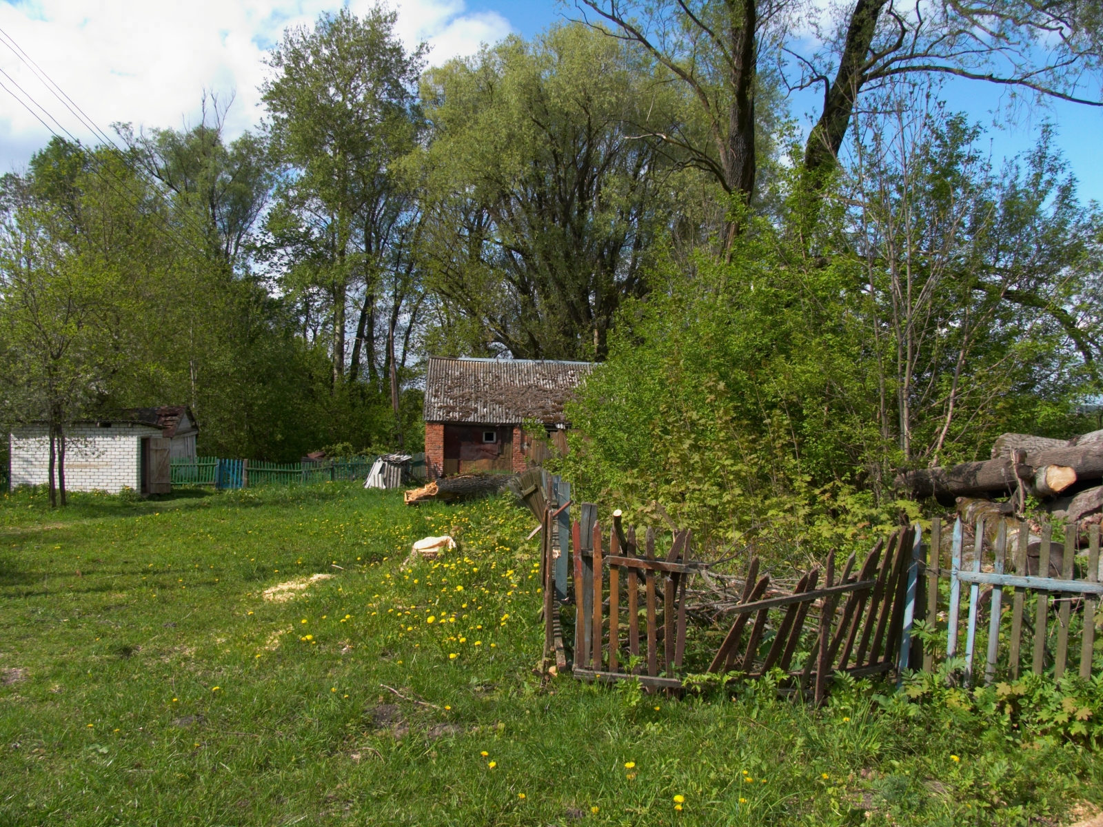 CRW_4121.jpg