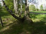 CRW_4126.jpg