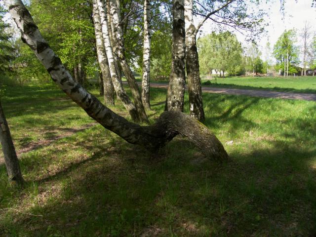 CRW_4126.jpg
