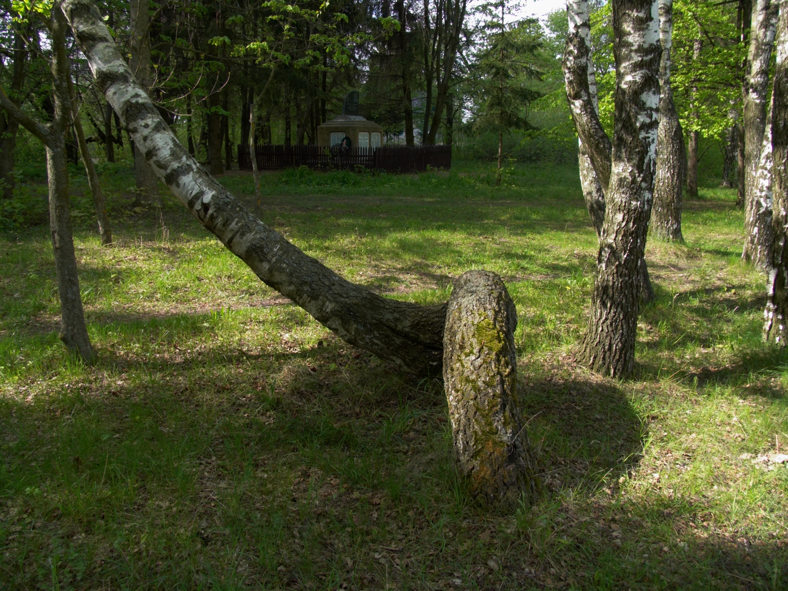 CRW_4127.jpg
