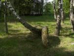 CRW_4127.jpg