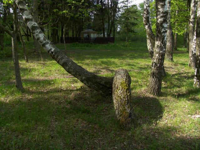CRW_4127.jpg