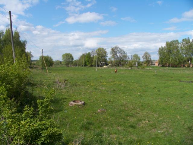 CRW_4131.jpg