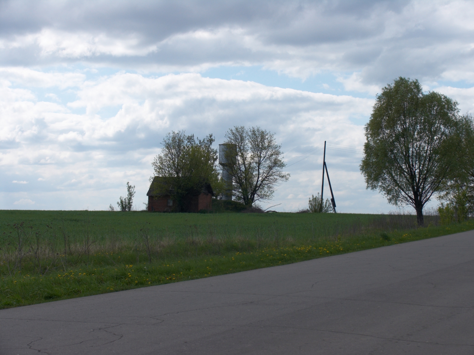 CRW_4134.jpg