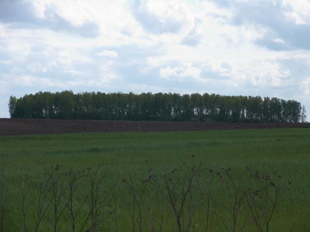 CRW_4135.jpg