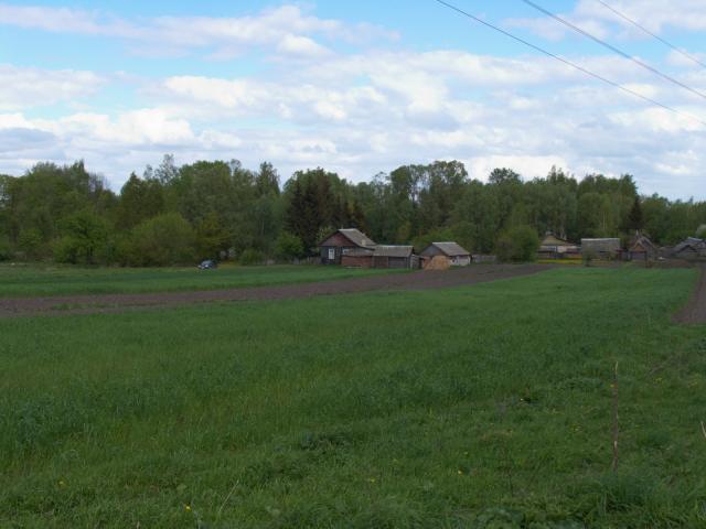 CRW_4137.jpg