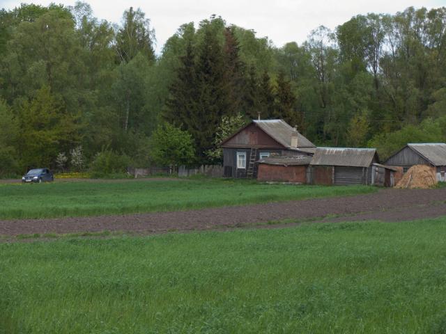 CRW_4139.jpg
