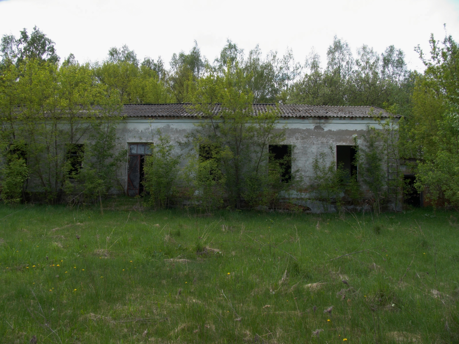 CRW_4142.jpg