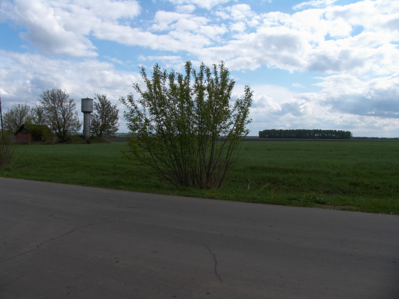CRW_4145.jpg