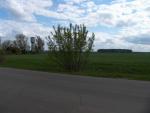 CRW_4145.jpg