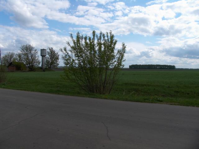 CRW_4145.jpg