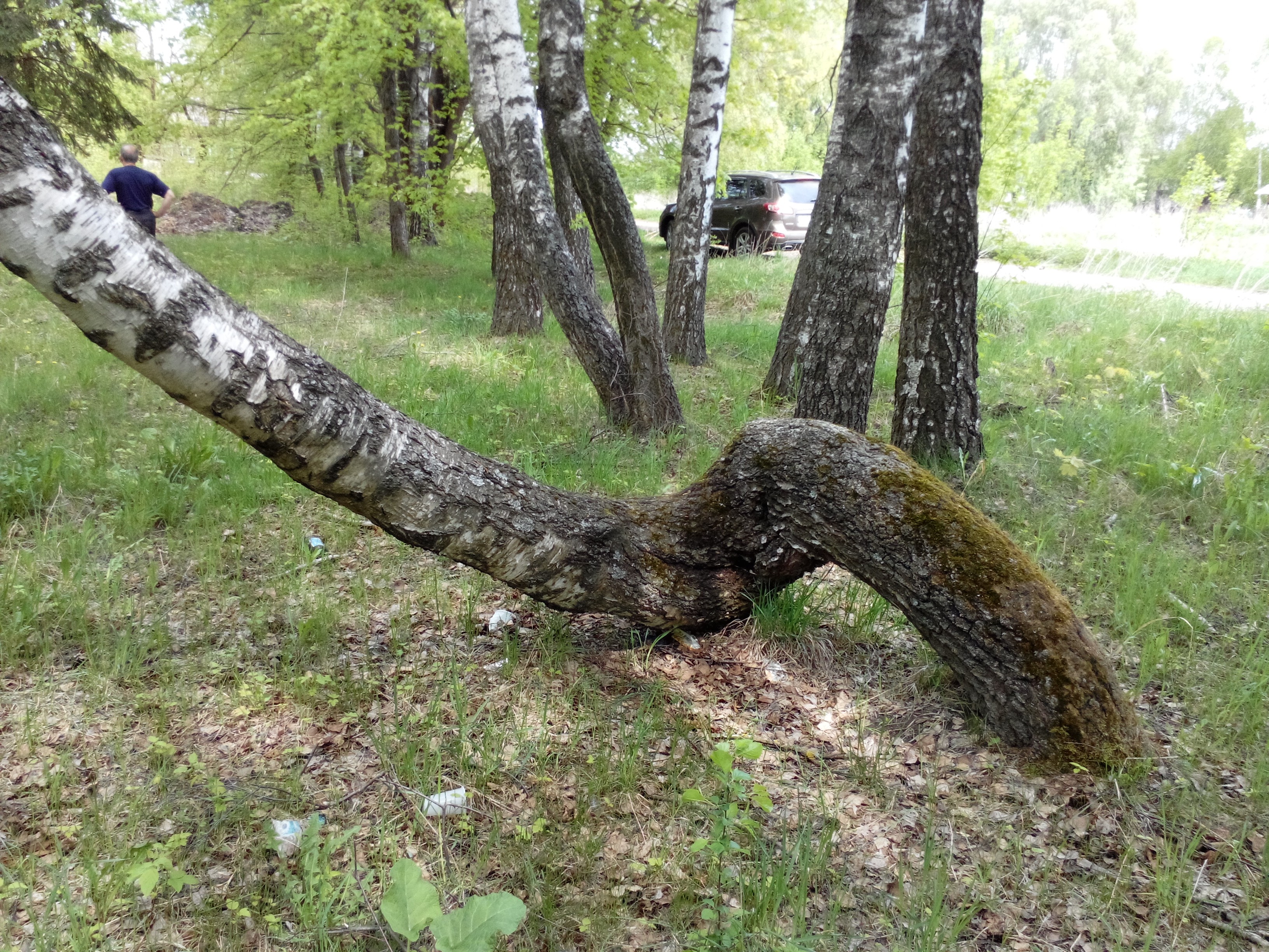 IMG_20130510_131240911.jpg