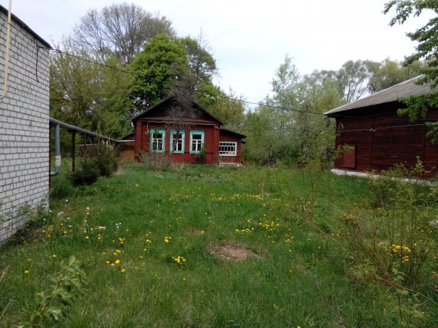 IMG_20130510_131447891.jpg