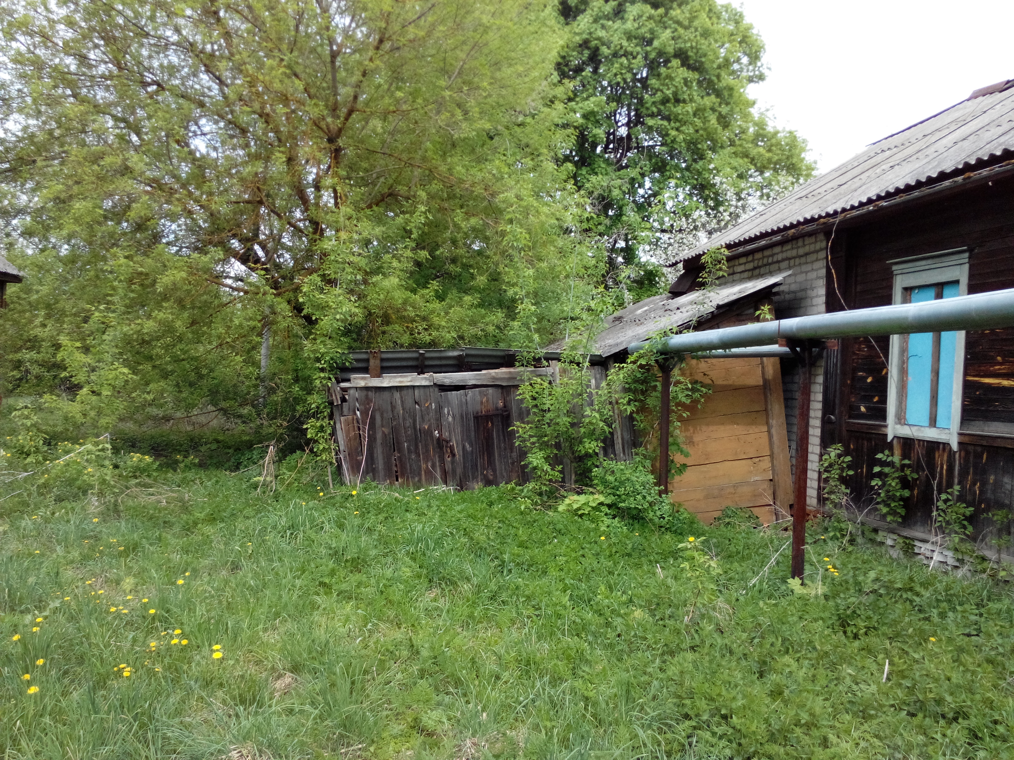IMG_20130510_131533696.jpg