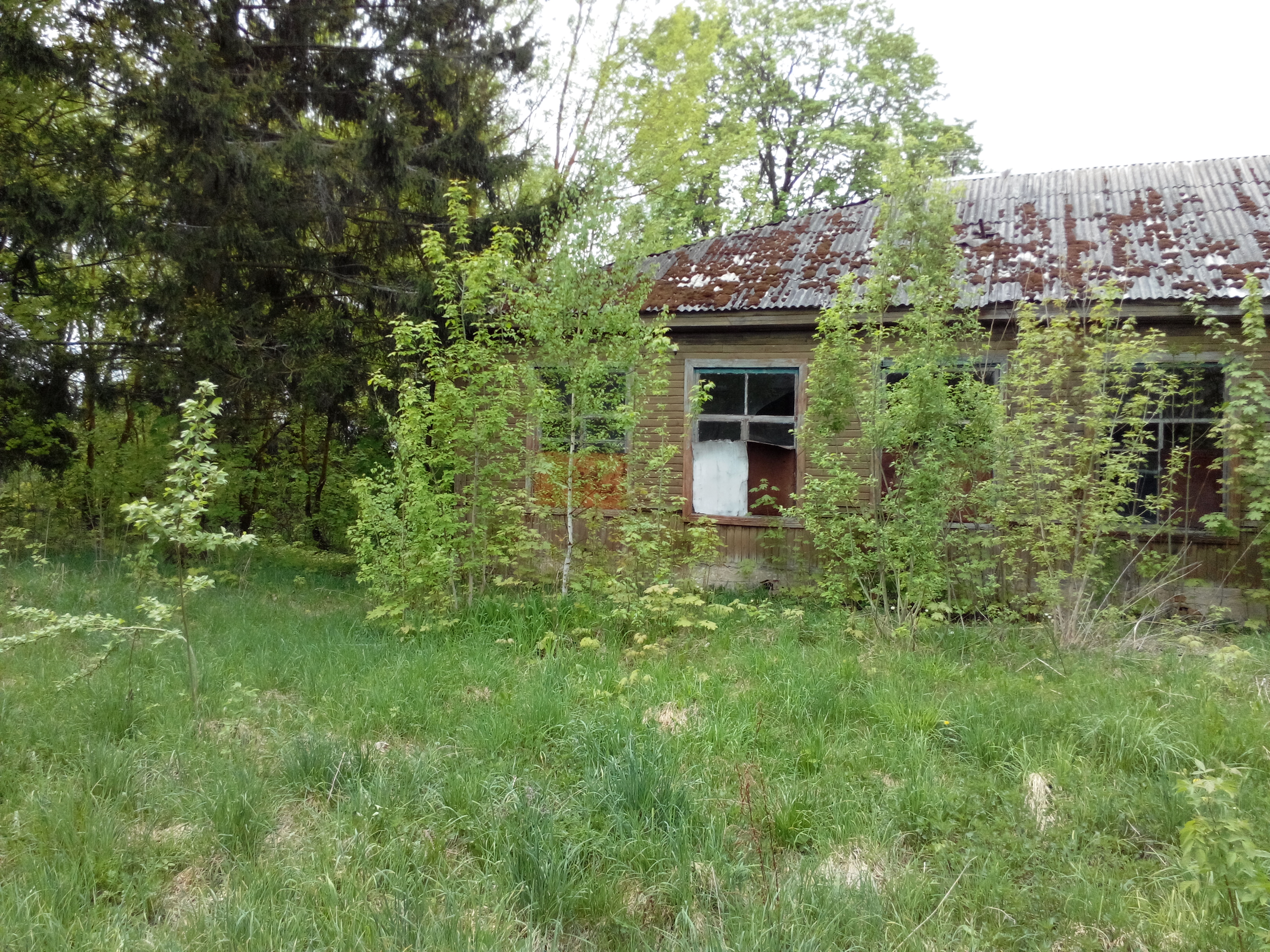 IMG_20130510_131538895.jpg
