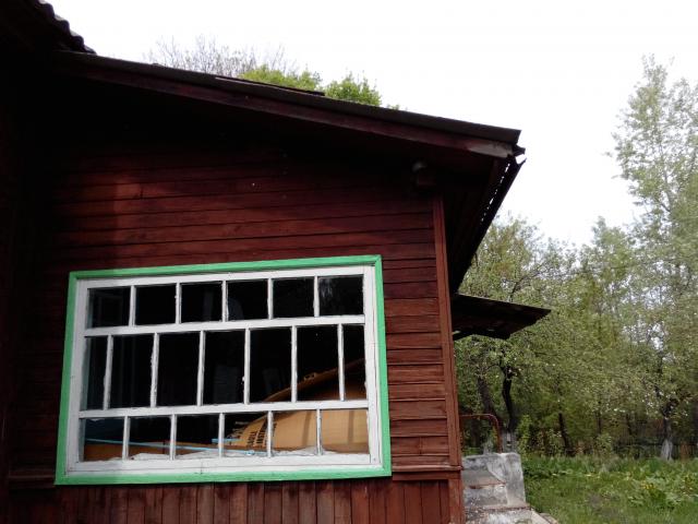 IMG_20130510_131552141.jpg