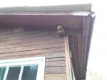 IMG_20130510_131603742.jpg