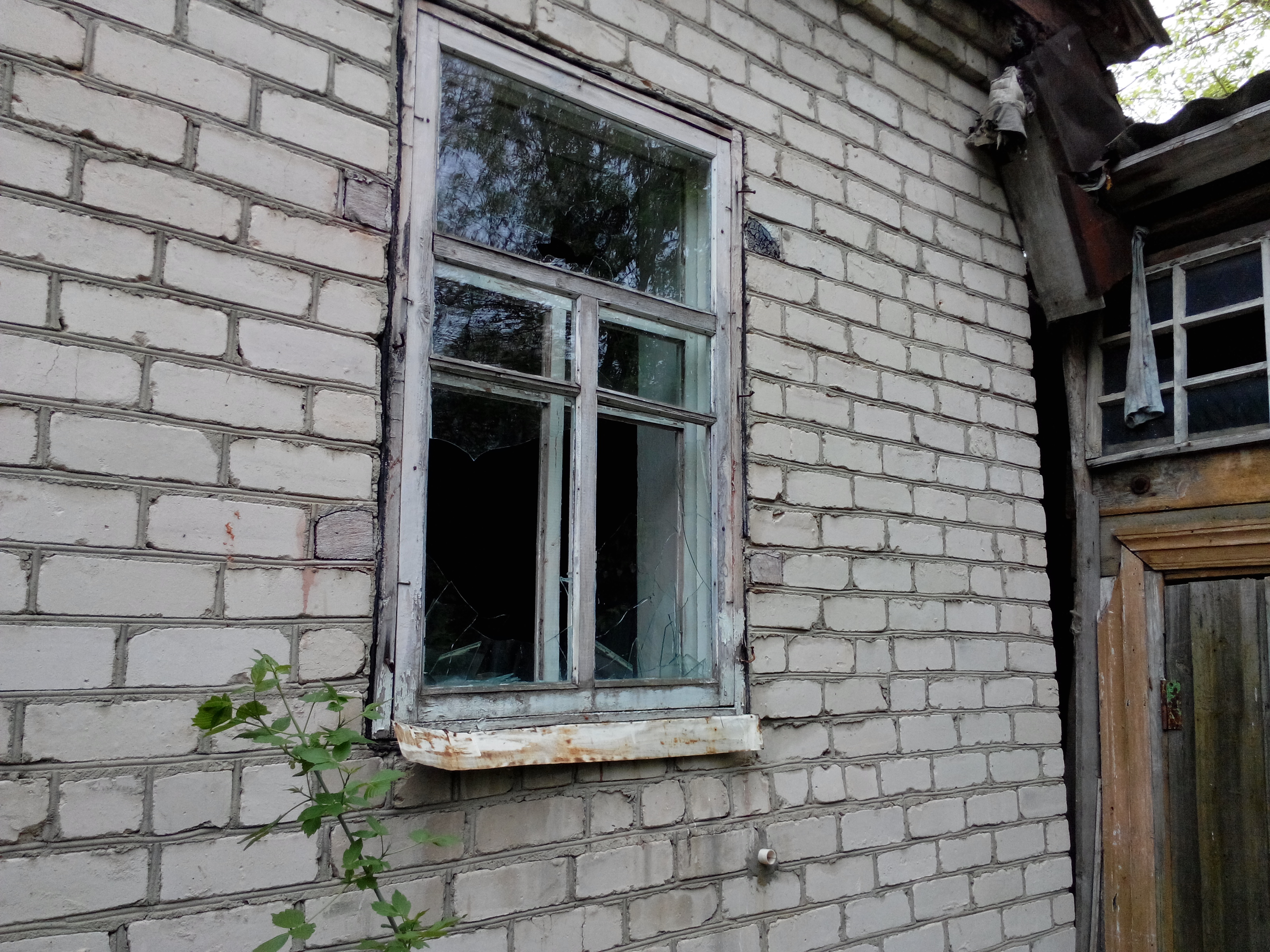 IMG_20130510_131649369.jpg